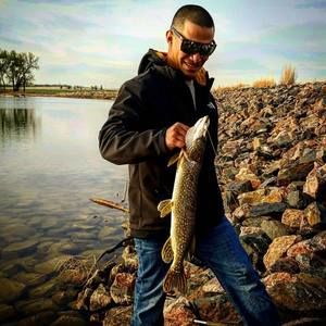 Meet your Posher, Jordan